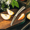 Овощной нож SAMURA REPTILE SRP-0010/Y (SRP-0010/K)